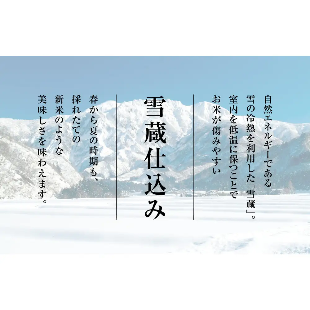 【令和7年産】雪温精法　新潟県産米3種　食べ比べセット