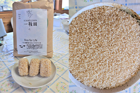 唐津産 あいがも米 5kg (玄米) 一粒田 合鴨農法 無農薬 無化学肥料 コメ お米 ごはん