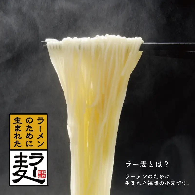 昭和45年創業 とんこつ ラーメン 専門店 山小屋からの贈り物 3箱 Z37