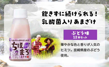 乳酸菌入りあまざけ ちほまろ 150g　12本セット【ぶどうのみ】ノンアルコール 贈答 贈り物 おすそ分け 日課 ドリンク 無添加 無加糖 飲み物 乳酸飲料 飲料 宮崎県 高千穂町 _Tk015-017-g12