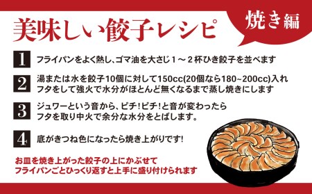 にんにく ぎょうざ 100個 小分け 冷凍 国産 ぎょうざ