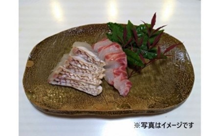 （冷蔵） 錦産 養殖 真鯛 フィレ 半身 2枚入り ／ 魚々錦 ふるさと納税 大紀ブランド 魚 たい 海鮮 海産 お取り寄せ グルメ 三重県 大紀町