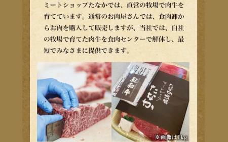 すきやき 牛  肉 牛肉 紀和牛 国産 すき焼き用 赤身 鍋 500g / 紀和牛すき焼き用赤身500g 【冷蔵】【tnk112-1】