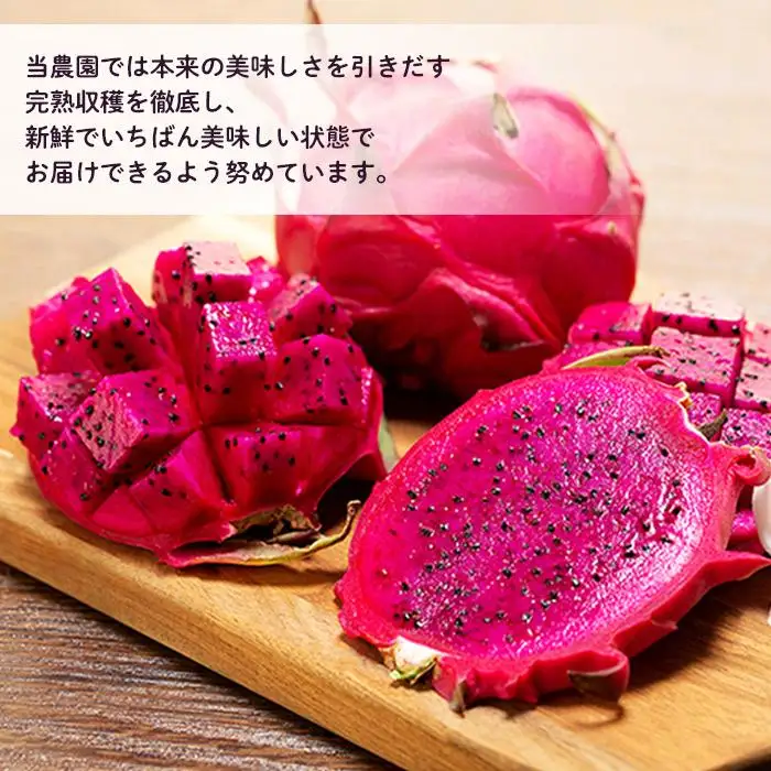 奄美産 食べごろ樹上完熟『赤蜜ドラゴンフルーツ』約1kg（2〜4玉）【先行予約 7月〜10月発送】