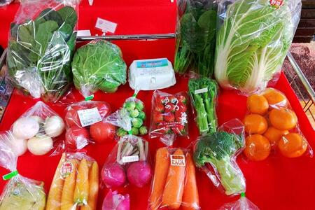 長崎県産　季節の野菜BOX【産直松吉】