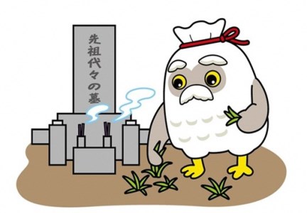 墓地清掃・墓石清掃・お墓参り代行〔献花・お線香〕（年２回）