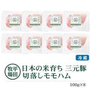 SA1335　【平田牧場】 三元豚 切り落としモモハム　100g×8パック