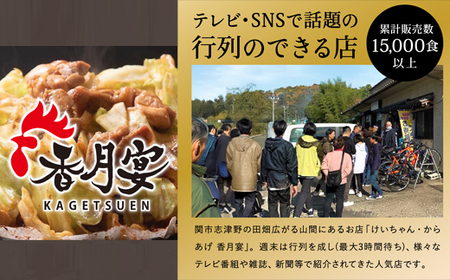【調理済・冷凍】香月宴の鶏ちゃん・からあげセット 計810g 