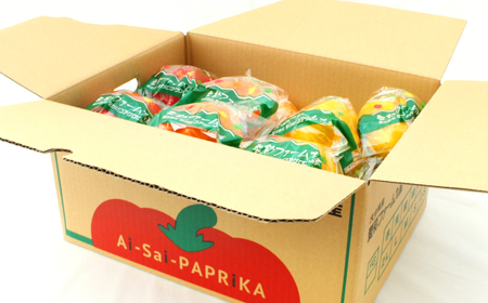 大分県九重町産 温泉 パプリカ 5kg