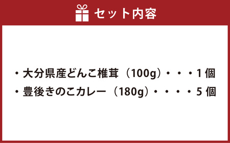 どんこ 椎茸 100g×1袋・ きのこ カレー  180g×5袋 詰合せ セット