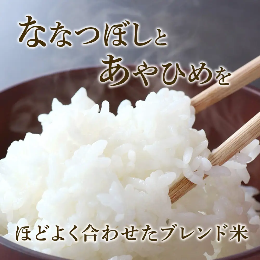 北海道産 う米蔵5kg×2袋 計10kg【JA道央】