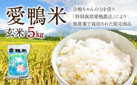 〈令和7年産〉愛鴨米 玄米 5kg【2025年10月上旬～2026年10月上旬発送予定】