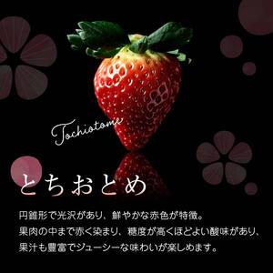 2026年発送＞伊達市霊山で採れるいちご「とちおとめ」1kg （250g×4