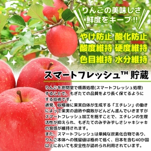 家庭用 りんご サンふじ スマートフレッシュ™ 3kg (9玉から12玉入り 3kg 1箱) 見た目にわけあり 味はそのまま [0794]