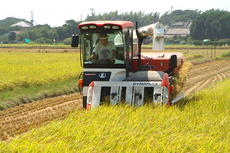令和7年 富津産「ゆうだい21」5kg（精米）