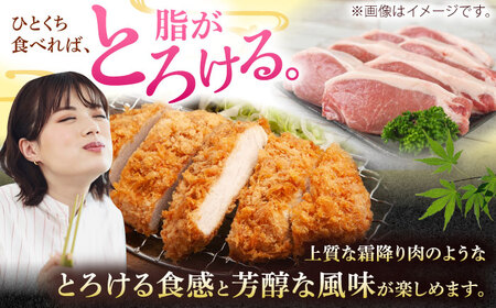 沖縄県産 豚ロース 厚切り 約1.2kg BCAJ011