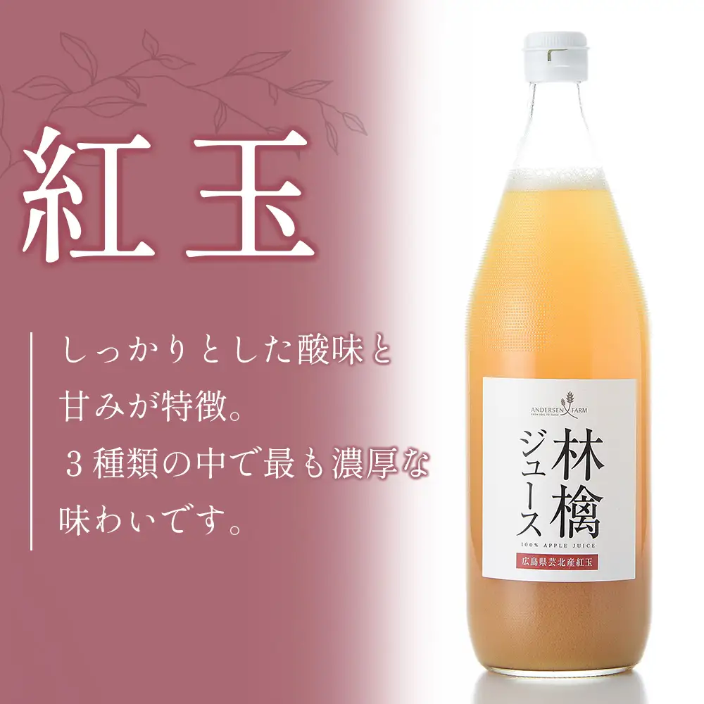 りんごジュース 3本セット アンデルセンファーム 林檎ジュース 紅玉 シナノゴールド グラニースミス_AN008_004
