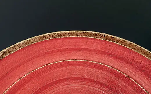 有田焼 立渕24.5cm 丸皿 2点 【金善製陶所】レッド ゴールド うつわ 器 おしゃれ レストラン オードブル 65000円 A65-51