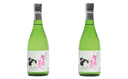日本酒 純米酒 智恵美人 720ml×2本セット【中野酒造】 九州 大分県 地酒 人気 ギフト 地酒 受賞 日本酒 美味しい おすすめ ランキング ＜110-011＞