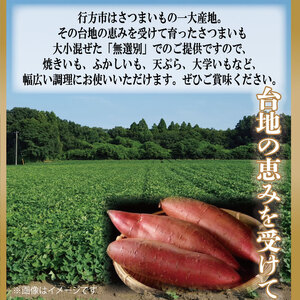 訳あり】 紅はるか 約10kg 【2026年9月より順次発送】｜紅はるか 無