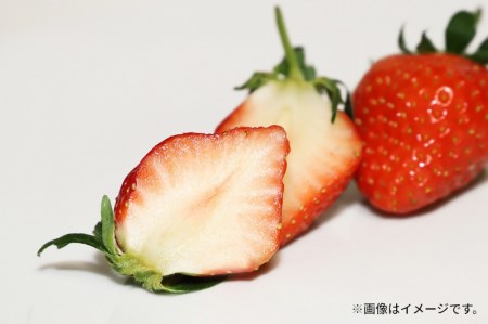 さぬき姫いちご (250g×8パック)
