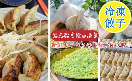 浜松餃子 果報のぎょうざ 1パック（17個入り） 4セット（合計68個）冷凍 加工品 惣菜 中華 点心 おかず おつまみ 冷凍餃子 一品 キャベツ 多め 甘め ニンニク パンチ 休日 夕飯 