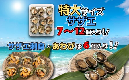 サザエ あわび セット 冷凍 サザエ FK