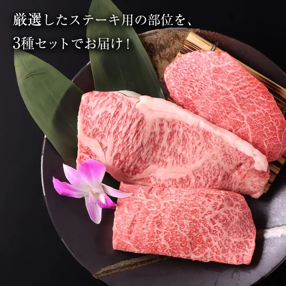 白老牛 厳選 ステーキ 3種セット 合計600ｇ（各200ｇ） 特製ソース付き 和牛 ＜徳寿＞ BJ057