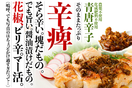 調味料 万能調味料 食べ比べ 食べる唐辛子 青唐辛子 TABERU～福岡県産青唐辛子と醤油と花椒～,～花椒BOOST～ 2個セット 農薬不使用 化成肥料不使用