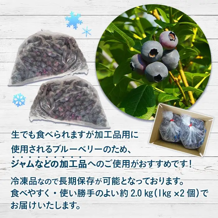 【由布市湯布院町産】 訳あり 冷凍ブルーベリー 2kg（1kg×2個）