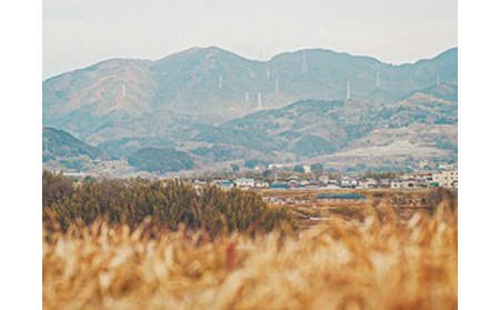 【北浜】ABITACOLO 河南町野菜のコース料理チケット ２名様分 No.301