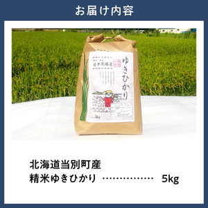 【令和7年産】精米ゆきひかり5kg