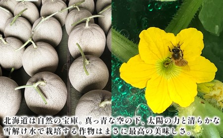 【2026年6月下旬～発送】特選 ふらの メロン 1玉 約2.5kg 北海道 富良野市 赤肉メロン (ジュラファーム富良野) メロン フルーツ 果物 新鮮 甘い 贈り物 ギフト 道産 ジューシー おやつ ふらの ブランド 夏 