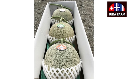【2026年6月下旬～発送】特選 ふらの メロン 3玉 計約6kg 北海道 富良野市 赤肉メロン (ジュラファーム富良野) メロン フルーツ 果物 新鮮 甘い 贈り物 ギフト 道産 ジューシー おやつ ふらの ブランド 夏 
