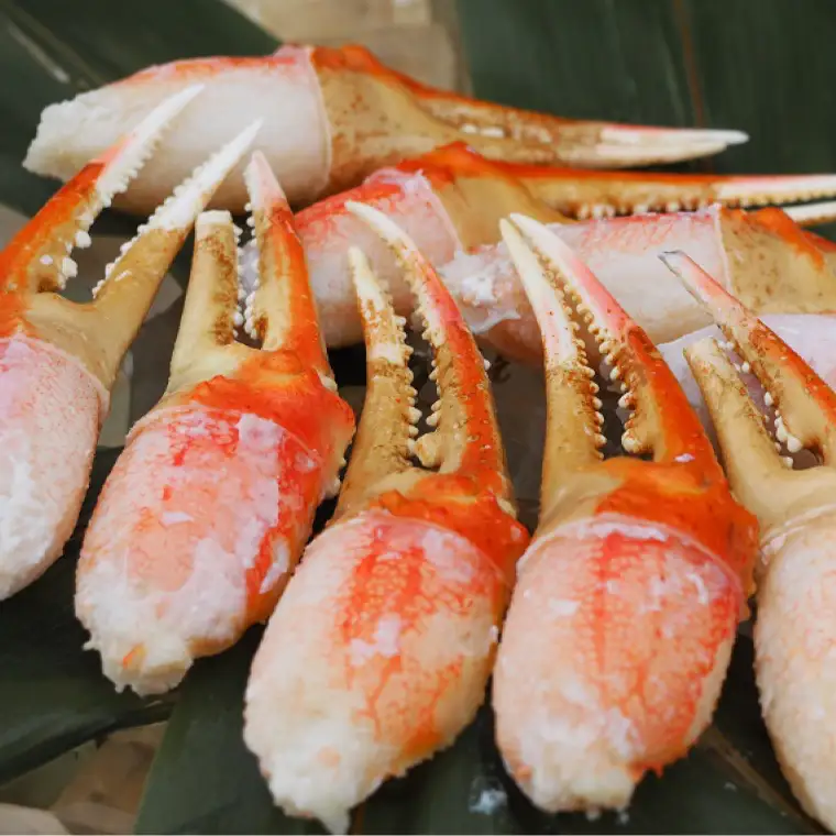 ボイル ずわいがに 爪 400g かに かに爪 _AP027