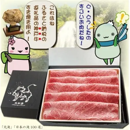 神戸牛 しゃぶしゃぶ ＆ すき焼き用 かた ・ もも肉 計600g YBS2【配送不可地域：離島】【1340602】