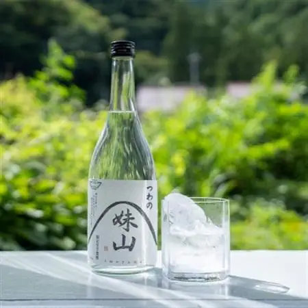 特産のとろりとしてねばりけのある里芋でつくった里芋焼酎【大(720ml)×2本】【1341167】