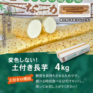 変色しない！ 土付き 長芋 4kg 【マル庄】 ／ 長いも 長イモ ながいも 山芋 やまいも ヤマイモ 芋 いも イモ 春野菜 秋野菜 生野菜 根菜 時短 時短食材 便利 手軽 国産 とろろ 山かけ おすすめ オススメ 人気 ４kg 4キロ ４キロ