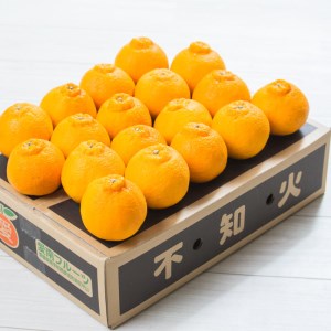 【先行予約】訳あり 減農薬 不知火 2.5kg 愛南フルーツ【2027年3月下旬～発送開始】