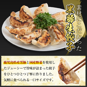 A3-008 国産！鹿児島県産黒豚餃子60個(10個入×6P)【肉の豊楽】霧島市 国産 豚肉 ぎょうざ ギョーザ ギョウザ 惣菜 おかず 冷凍