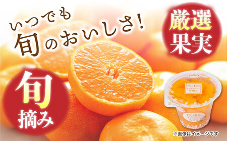 たらみ PURE みかん 6個 / ゼリー ぜりー フルーツゼリー 果物 フルーツ くだもの / 諫早市 / 株式会社たらみ [AHBR006] 