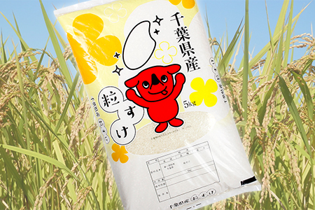 令和7年 千葉富津産「粒すけ」5kg 精米　かじや米店