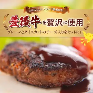 豊後牛ハンバーグ（プレーン・チーズ入り） 合計10個セット（合計約1kg） A05065