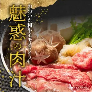 おおいた和牛ももスライス　約700ｇ A01120