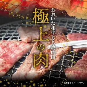 おおいた和牛もも焼肉用　約600ｇ A01121