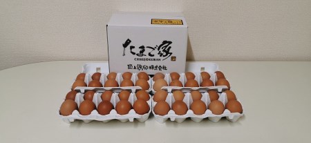 【定期便】かぐやひめ「初たまご」40個　6回（毎月）コース_04T-011