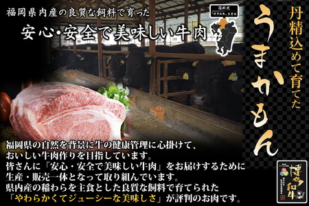 博多和牛ローススライス400g
