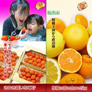 坂出産のフルーツとさぬきの特産品の定期便5回【Bコース】