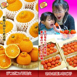 坂出産のフルーツとさぬきの特産品の定期便4回【Aコース】