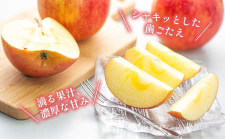 訳あり りんご JA信州うえだ 合戦りんご サンふじ 約10kg リンゴ 林檎 ふじ 果物 くだもの フルーツ 信州 長野 離乳食 訳アリ わけあり 傷